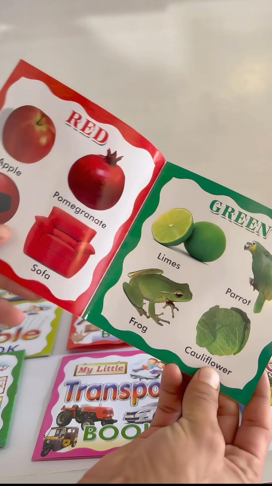 📚 17-in-1 Kids Early Learning Book Set | ABC, 123, Animals, Colours & Rhymes