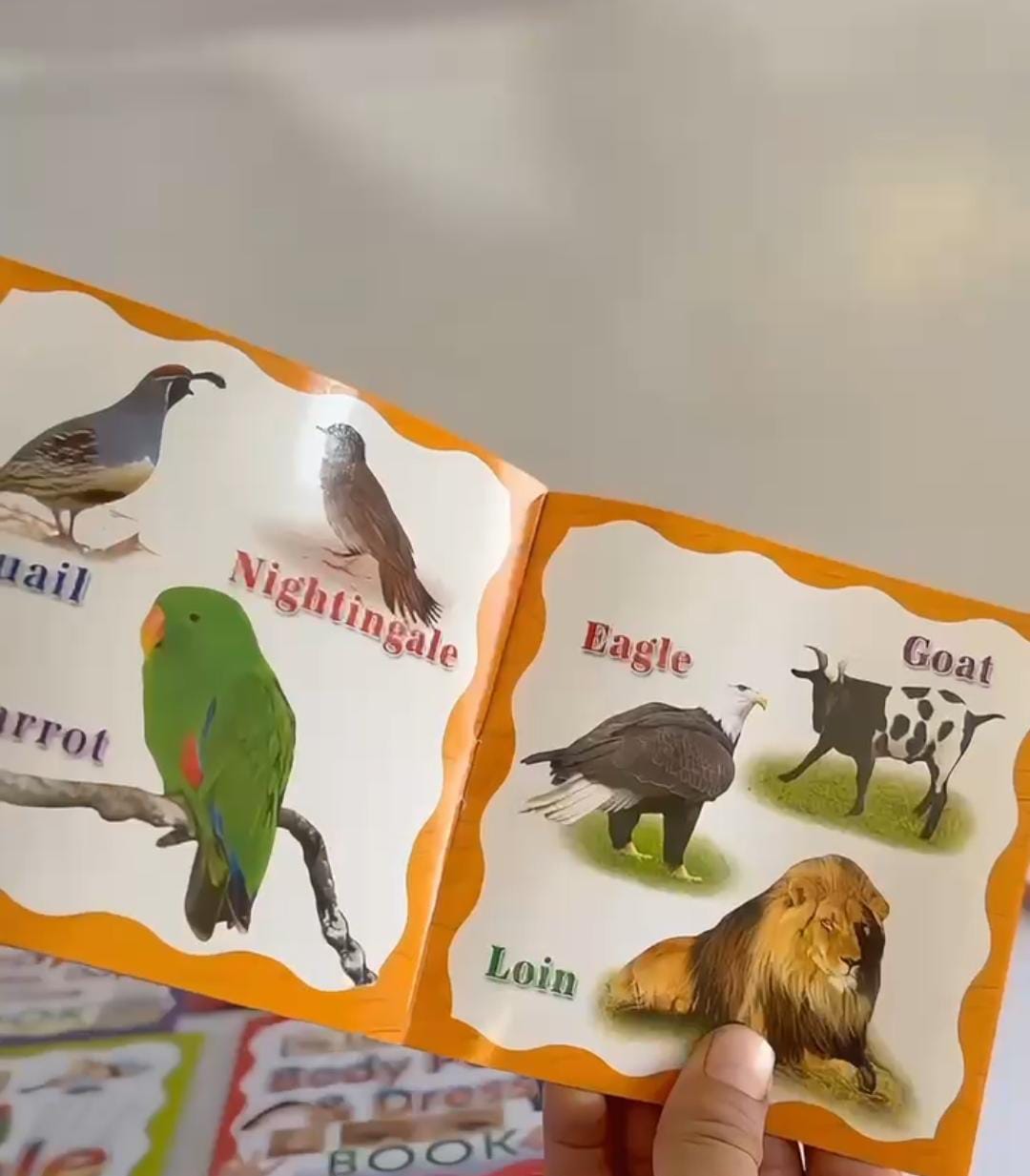 📚 17-in-1 Kids Early Learning Book Set | ABC, 123, Animals, Colours & Rhymes